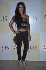 at Apicus lounge launch in Mumbai on 29th March 2012 (17).JPG