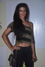 at Apicus lounge launch in Mumbai on 29th March 2012 (18).JPG