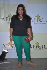 at Apicus lounge launch in Mumbai on 29th March 2012 (198).JPG