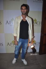 at Apicus lounge launch in Mumbai on 29th March 2012 (56).JPG