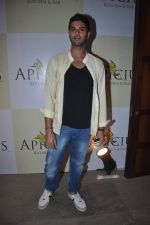 at Apicus lounge launch in Mumbai on 29th March 2012 (57).JPG