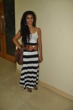 at Sunburn in Juhu, Mumbai on 8th April 2012 (37).JPG