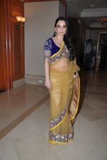 Sheetal Mafatlal at Manish Malhotra - Lilavati_s Save & Empower Girl Child show in Mumbai on 11th April 2012 400 (139).JPG