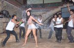 Nathalia Kaur at the Launch of Sizzling Item Song Dan Dan from RGV_s Department in Kinos Cottage on 13th April 2012 (15).JPG