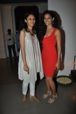 at the launch of Uttara & Adwait furniture art exhibition in Mumbai on 12th April 2012 (55).JPG