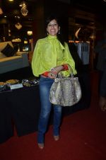 at Elegant launch hosted by Czech tourism in Raghuvanshi Mills, Mumbai on 16th April 2012 (81).JPG