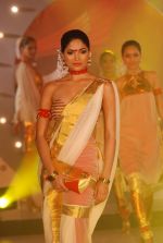 Parvathy Omnakuttan walk the ramp at SNDT Chrysalis fashion show in Mumbai on 20th April 2012 (20).JPG