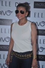 Ramona Narang at Elle DIvo event in Vinoteca on 26th April 2012 (27).JPG