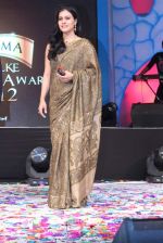 Kajol at 143rd Dadasaheb Phalke Academy Awards 2012 on 3rd May 2012 (170).JPG