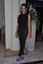 Shazahn Padamsee at Soie fashion show in ITC Grand Maratha on 7th May 2012 (18).JPG