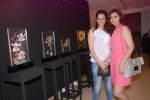 Sonali Bendre, Gayatri Joshi at Nalini Mehta art showing at Gallery Art N Soul in Mumbai on 7th May 2012 (13).JPG