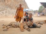 AD Singh tames full grown Tigers in tiger temple, a place on the remote outskirts of bangkok is situated in kanchanaburi on 13th May 2012 (14).jpeg
