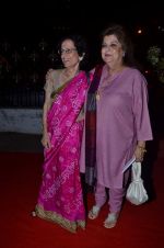  at The Best Exotic Marigold Hotel premiere in NFDC, Mumbai on 16th May 2012 (18).JPG