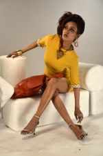 Vedita Pratap Singh photo shoot on 24th May 2012 (38).JPG