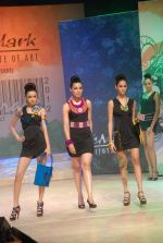 Model walk the ramp for Le Mark Institute fashion show in Mumbai on 27th May 2012 (131).JPG