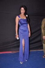 Barkha Bisht at Indian Telly Awards 2012 in Mumbai on 31st May 2012 (71).JPG