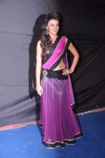 at Indian Telly Awards 2012 in Mumbai on 31st May 2012 (305).JPG