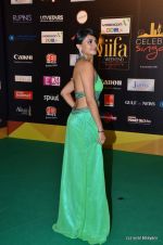 Pooja Kumar at the IIFA Rocks Red Carpet on 8th June 2012 (16).JPG