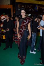 Sameera Reddy at the IIFA Rocks Red Carpet on 8th June 2012 (46).JPG