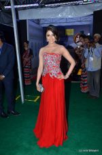 Aarti Chhabria at IIFA Awards 2012 Red Carpet in Singapore on 9th June 2012  (107).JPG