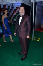 at IIFA Awards 2012 Red Carpet in Singapore on 9th June 2012  (2).JPG