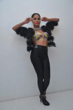 Veena Malik photo shoot on 12th June 2012 (138).JPG