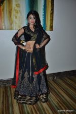 Shriya Saran at SIIMA Awards Gen Next and Gen Next Fashion Awards red carpet, Dubai on 21st June 2012 (154).JPG