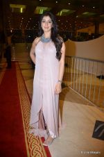 at SIIMA Awards Red carpet at Dubai World Trade Centre on 22nd June 2012 (383).JPG