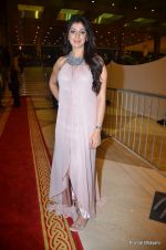 at SIIMA Awards Red carpet at Dubai World Trade Centre on 22nd June 2012 (384).JPG