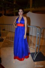 at SIIMA Awards Red carpet at Dubai World Trade Centre on 22nd June 2012 (403).JPG