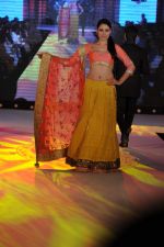 at Pidilite presents Manish Malhotra, Shaina NC show for CPAA in Mumbai on 1st July 2012 (141).JPG