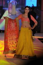  at Pidilite presents Manish Malhotra, Shaina NC show for CPAA in Mumbai on 1st July 2012 (142).JPG