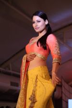  at Pidilite presents Manish Malhotra, Shaina NC show for CPAA in Mumbai on 1st July 2012 (164).JPG