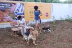 Gul panag at pet park launch in Yari Road, Mumbai on 2nd July 2012 (128).JPG