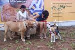 Gul panag at pet park launch in Yari Road, Mumbai on 2nd July 2012 (133).JPG