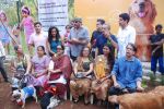 Jackie Shroff at pet park launch in Yari Road, Mumbai on 2nd July 2012 (160).JPG