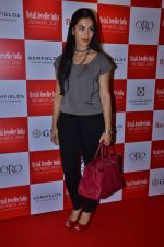 at The 8th Annual Gemfields RioTinto Retail Jeweller India Awards 2012 on 5th July 2012 (24).JPG
