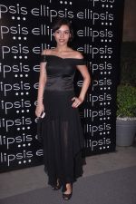 at Ellipsis launch hosted by Arjun Khanna in Mumbai on 6th July 2012 (56).JPG