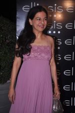 at Ellipsis launch hosted by Arjun Khanna in Mumbai on 6th July 2012 (59).JPG