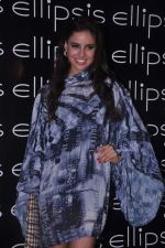 at Ellipsis launch hosted by Arjun Khanna in Mumbai on 6th July 2012 (84).JPG
