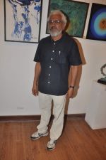 at 13th Annual Artists Centre Exhibition in Kalaghoda, Mumbai on 10th July 2012 (7).JPG