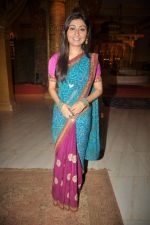 at Yahan Main Ghar Ghar Kheli 700 episodes celebrations in Filmcity, Mumbai on 10th July 2012 (113).JPG