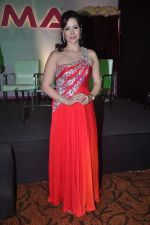 at the launch of It_s Only Cinema magazine in Novotel, Mumbai on 14th July 2012 (29).JPG
