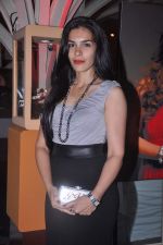 at Pria Kataria Cappuccino collection launch inTote, Mumbai on 20th July 2012 (214).JPG