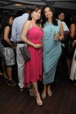 Amrita Raichand at Amadeus Anniversary bash in Mumbai on 29th July 2012 (156).jpg