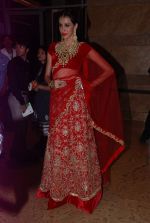  at IIJW Day 1 on 19th Aug 2012,1 (123).JPG