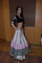  at IIJW Day 1 on 19th Aug 2012,1 (197).JPG