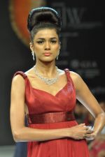 Model walks the ramp for Dynamic International Show at IIJW Day 1 on 19th Aug 2012  (17).JPG