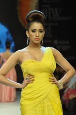 Model walks the ramp for Dynamic International Show at IIJW Day 1 on 19th Aug 2012  (22).JPG