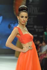 Model walks the ramp for Dynamic International Show at IIJW Day 1 on 19th Aug 2012  (4).JPG